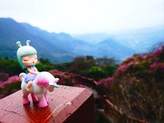 -广州市石门国家森林公园