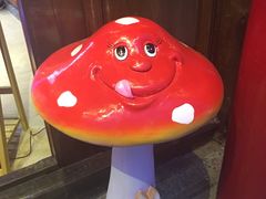 -蘑统田下·野生菌火锅