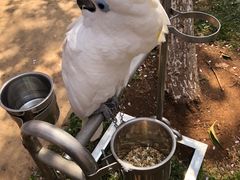 -昆明动物园