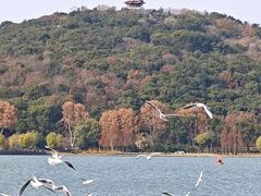 -水上明月·湖景餐厅