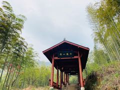 -东明山森林公园