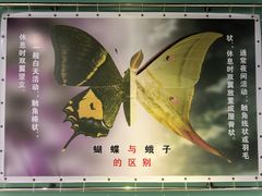 -上海昆虫博物馆