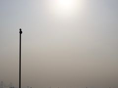 -深圳机场码头
