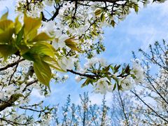 -白塘生态植物园
