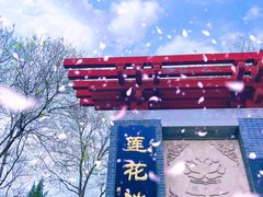 -莲花池公园