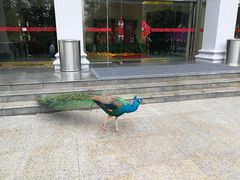 -西昌邛海宾馆