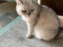 -小时光咖啡馆(北锣鼓巷店)