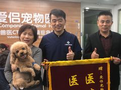 -爱侣宠医·鹦鹉专科·小型哺乳类·异宠专科(灵石路店)