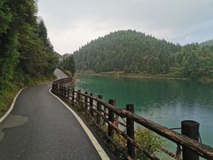 -武陵山森林公园