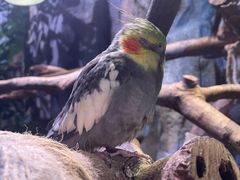 -正佳雨林生态植物园