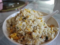 -明珠湖天鹅苑·农家菜馆