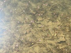 -中关村生命科学园