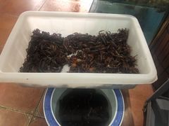 -光辉公鸡馆(事业小区店)