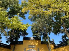 -灵岩山风景区
