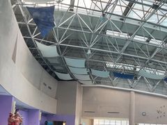 -杭州龙禧福朋喜来登酒店·游泳健身中心
