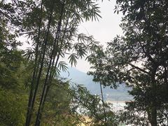 -广州市流溪河国家森林公园