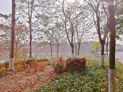 -海珠湖公园