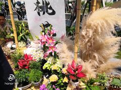-龙华寺