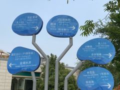 -金沙湖旅游度假区
