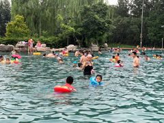 -柳浪游泳场