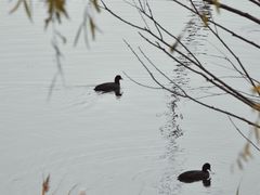 -野鸭湖国家湿地公园