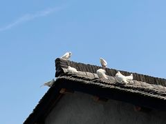 -良渚文化村