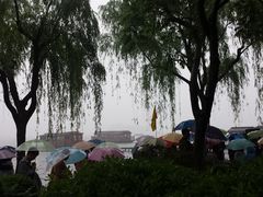 -西湖游船