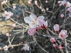 -鹫峰国家森林公园