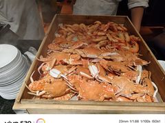 -萧邦音乐会所KTV·蒸汽活海鲜自助(福田店)