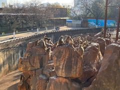 -昆明动物园