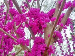 -上海静安大悦城