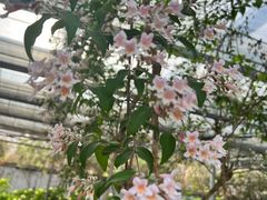 -洛阳市隋唐城遗址植物园