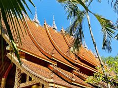 -西双版纳傣族园