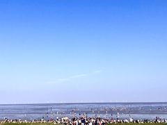 -南汇嘴观海公园