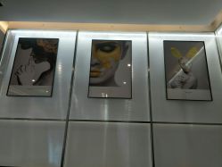 -崇尚GAVIN STYLE臻选