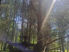 -北极村旅游风景区