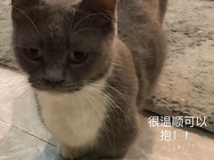 -猫爷宠物生活馆·撸猫馆