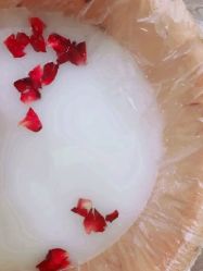-奥斯芬欧系贵族SPA