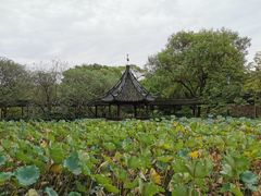 -上海醉白池公园