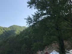 -牛背梁国家森林公园