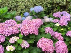 -常州古运河南大街文化旅游区-人民公园