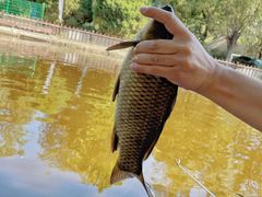 -酷鱼垂钓CLUB(朝阳区博大路店 )