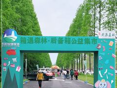 -黄海国家森林公园