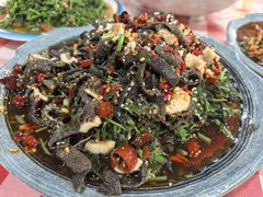 刺五加呛毛肚-绿草墩