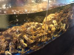 -蟹之国·精品蟹料理(极地店)