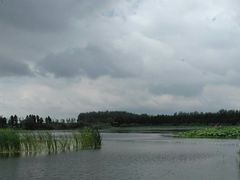 景点-溱湖国家湿地公园