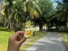 -海南清水湾莱佛士酒店