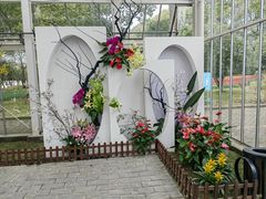 -上海鲜花港