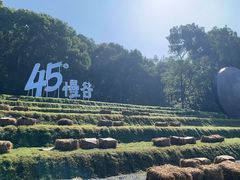 -无锡梅园公园
