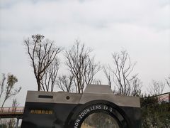 -府河摄影公园